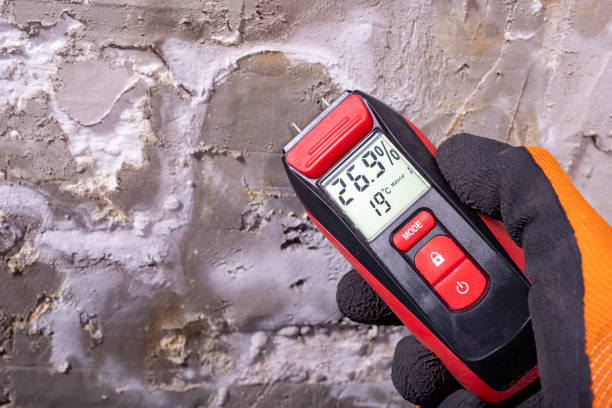 Reliable Salem, VA Mold Removal Solutions