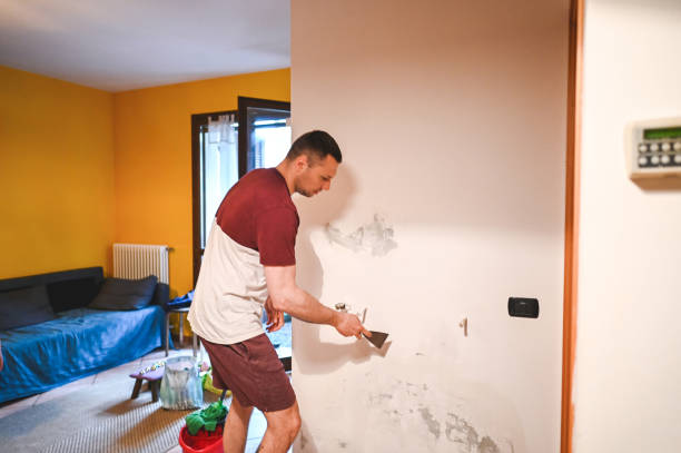 Best Affordable Mold Removal  in Salem, VA